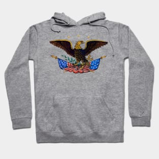 Vintage Patriotic American Eagle Hoodie